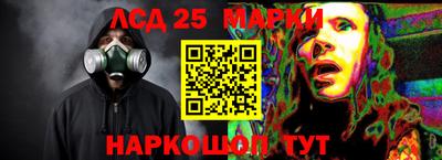 скорость Новозыбков