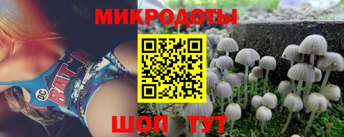 Псилоцибиновые грибы мухоморы Старая Купавна